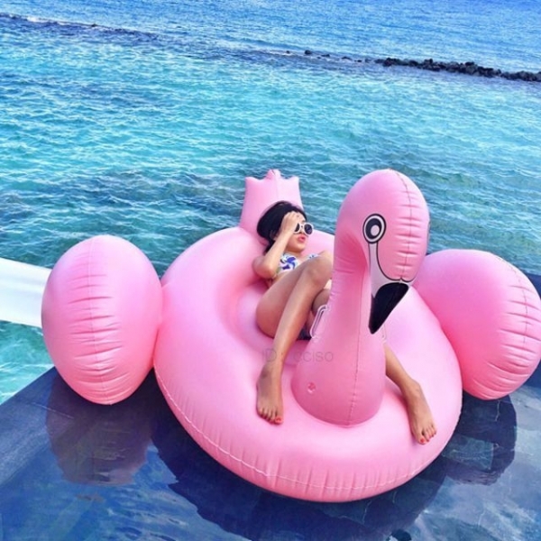Giant Inflatable Flamingo Pool Float
