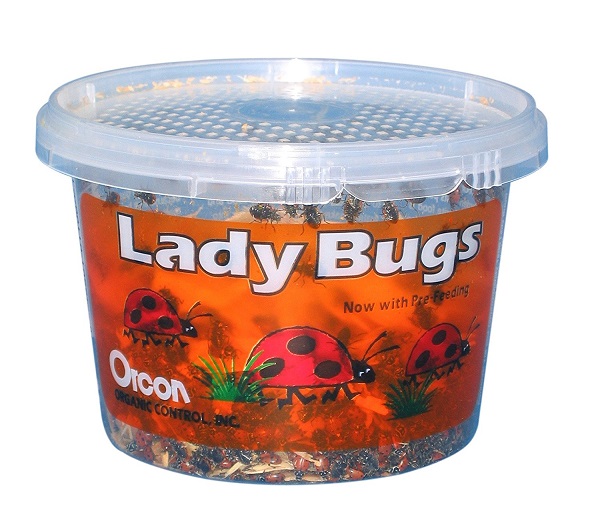 1,500 Live Ladybugs