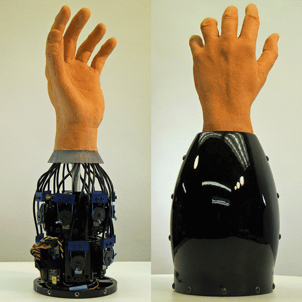Robotic Hand Platform