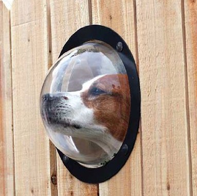 Dog Fence-Window