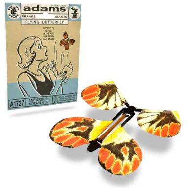 Flying Butterfly Card Surprise
