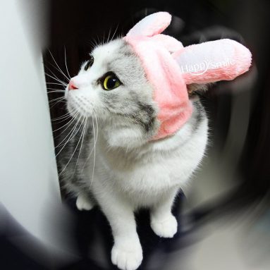 Bunny Hat for Cats