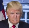 Donald Trump impersonator