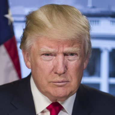 Donald Trump impersonator
