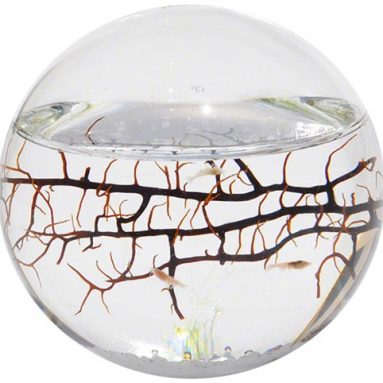 Closed Aquatic Ecosystem Sphere