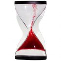 Liquid Motion Timer Toy