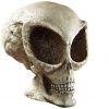 Alien Skull