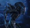 Alien Warrior