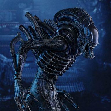 Alien Warrior