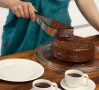 Cake Server