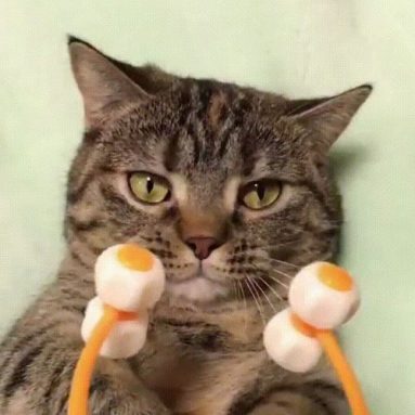 Cat Face Massager