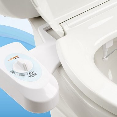 Bidet Toilet Seat Attachment