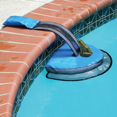 Critter Pool Ramp
