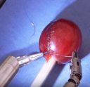 da Vinci Robot