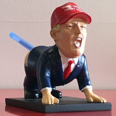 Dump-a-Trump Pen Holder