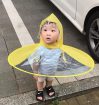Foldable Umbrella