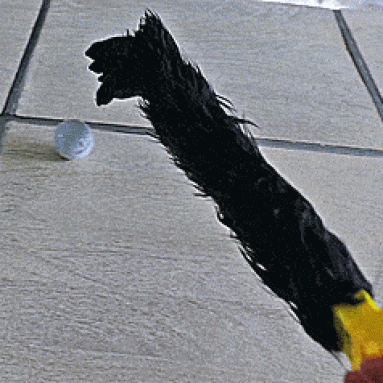Gorilla Grabber Arm Toy