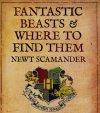 Fantastic Beasts and Where to Find Them