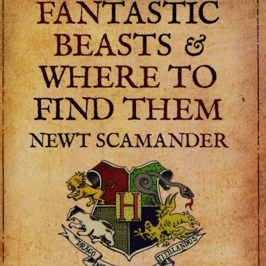 Fantastic Beasts and Where to Find Them