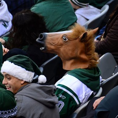 Horse Head Mask