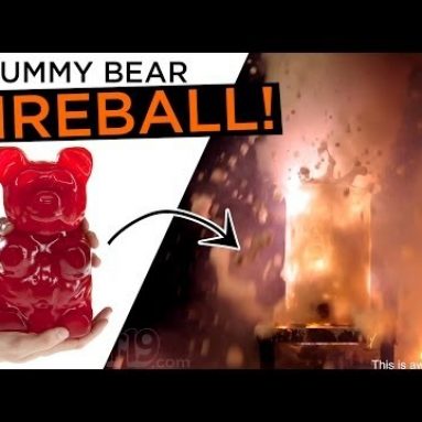 World’s Largest Gummy Bear