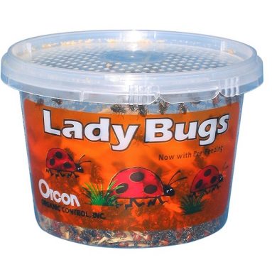 1,500 Live Ladybugs