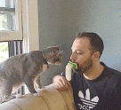 LICKI Brush