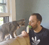 LICKI Brush