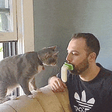 LICKI Brush