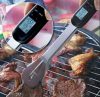 BBQ Temperature Tongs