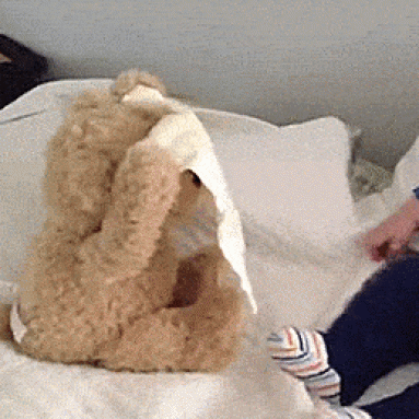 Peek-a-Boo Teddy Bear