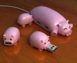 Piggy USB Hub