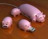 Piggy USB Hub