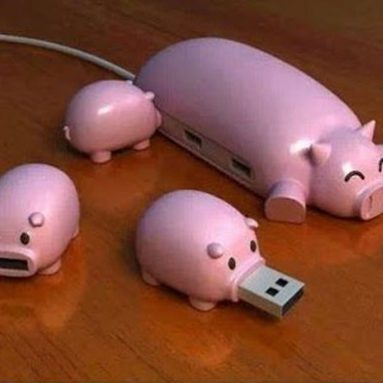 Piggy USB Hub