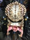 Predator Motorcycle Helmet