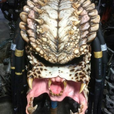 Predator Motorcycle Helmet