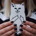 RipnDip Lord Nermal iPhone 5,6 Case