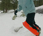Sled Legs