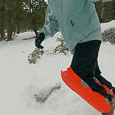 Sled Legs