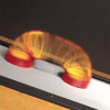 Slinky