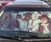Star Wars Sunshade