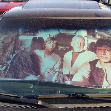 Star Wars Sunshade