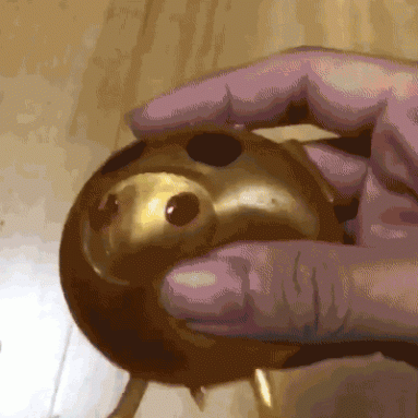 Smash-it Stress Relief Jelly Soft Pig