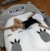Totoro Cat Bed