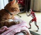 Ultraman Action Figure