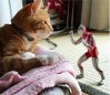 Ultraman Action Figure