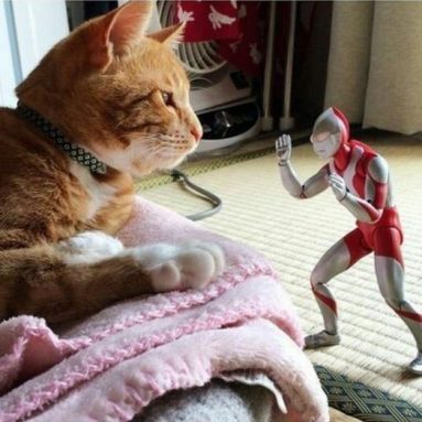 Ultraman Action Figure