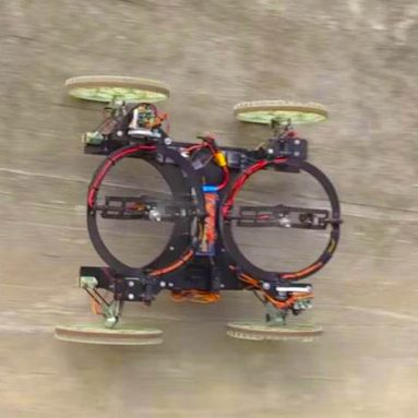 Wall-Racing RC Buggy