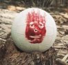 Wilson Castaway Volleyball