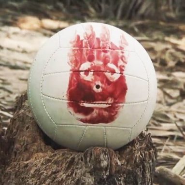 Wilson Castaway Volleyball